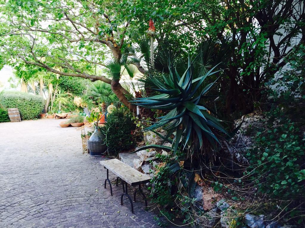 Villa Il Cappero San Vito Lo Capo Buitenkant foto
